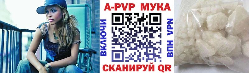 Купить где Анива Alpha PVP СК