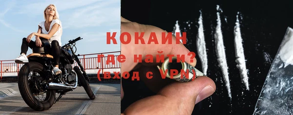 прущие грибы Шали